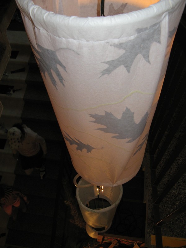 cerven 2010 039.jpg
